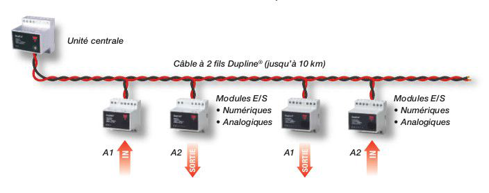 schema reseau dupline